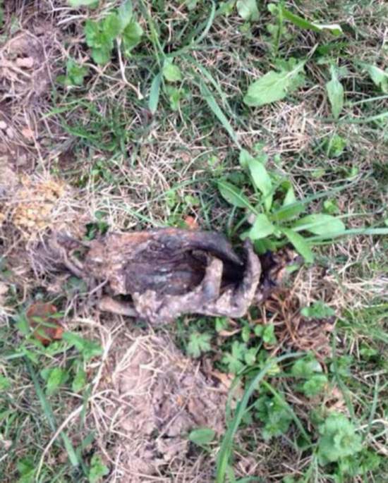 東陽廣告高炮上懸掛一具干尸