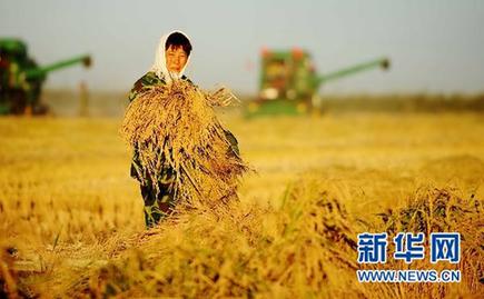 六大舉措保三農--權威人士解讀中央農村工作會議精神