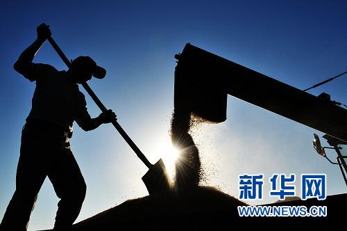 六大舉措保三農(nóng)--權(quán)威人士解讀中央農(nóng)村工作會(huì)議精神