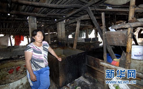 三亞回應最大棚戶區被強拆事件:政府沒有義務賠償