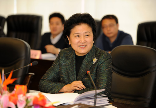 劉延東:新中國教育史上的重要里程碑