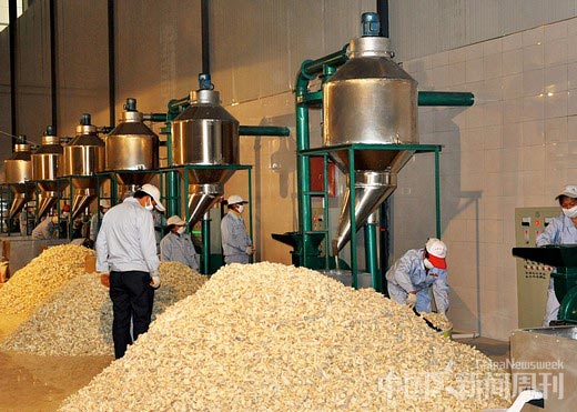 透視年終“政績(jī)焦慮癥”