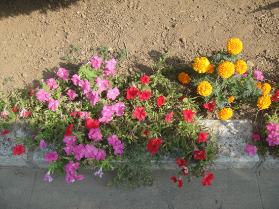 “遼寧邊防行”紀事之一：