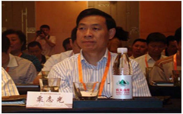 重慶10名廳局級(jí)官員國(guó)企高管因不雅視頻被免職