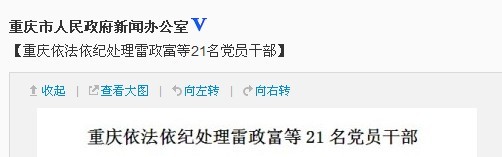重慶依法依紀處理雷政富等21名黨員干部