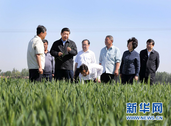 習近平在天津考察