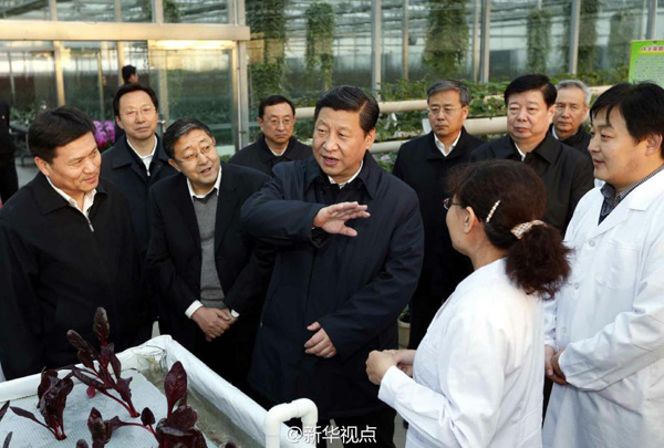 習(xí)近平：手中有糧，心中不慌