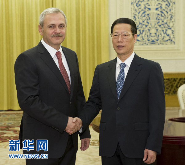 張高麗與羅馬尼亞第一副總理德拉格內(nèi)亞會(huì)談