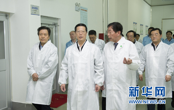 張高麗:堅持穩(wěn)中求進改革創(chuàng)新 促進經(jīng)濟持續(xù)健康發(fā)展