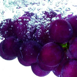 30種神奇的抗衰老食物！