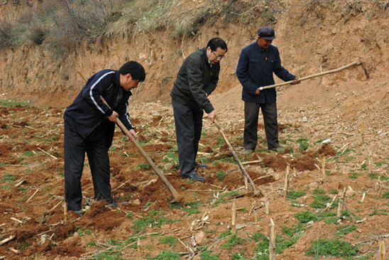 山西省委組織部干部下鄉住村見聞