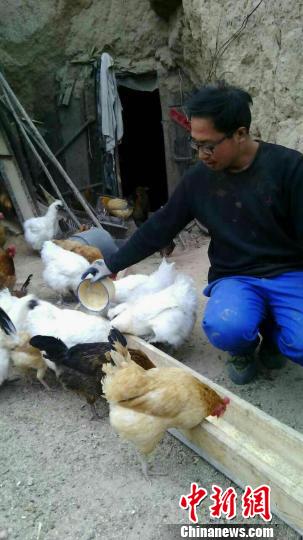 山西農民工返鄉創業養土雞 地處深山無人問