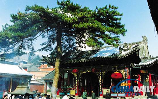 秋游五臺山 景色更絢爛