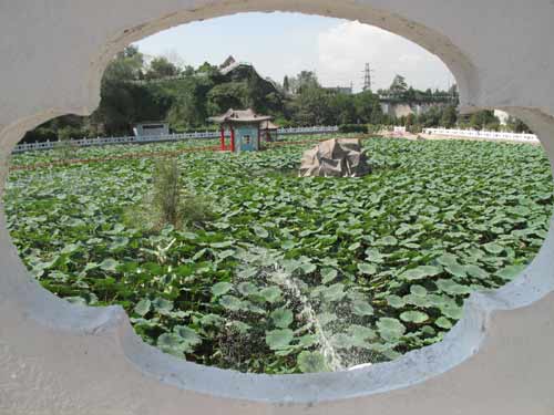 太鋼集團綠色制造成果廣受關注[組圖]
