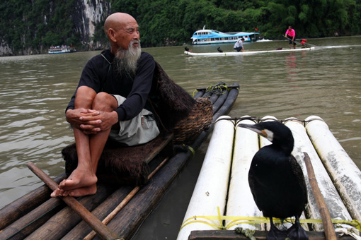 老人和魚(yú)鷹