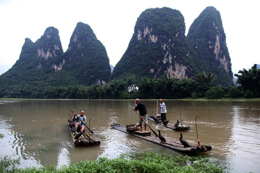 老人和魚(yú)鷹