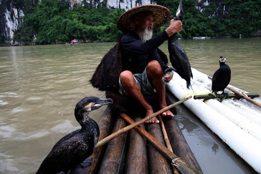 老人和魚(yú)鷹