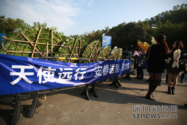 姚貝娜追悼會(huì)舉行 歌迷六點(diǎn)起床為“送最后一程”