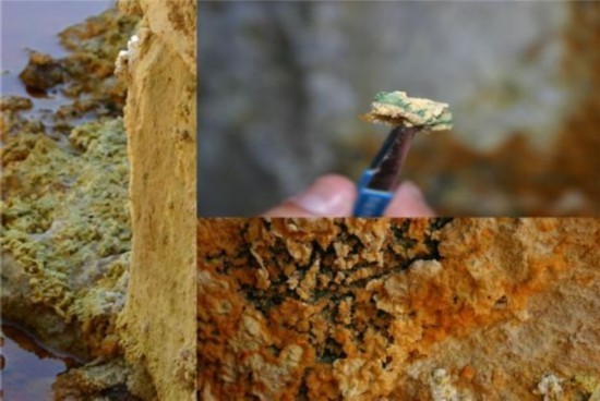 研究發現火星微生物或存在地球上