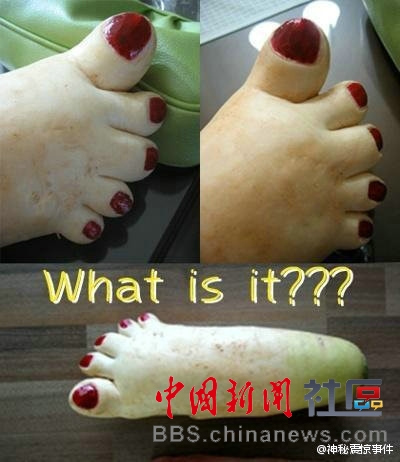 成精的蘿卜君！《大根逃亡記》爆紅