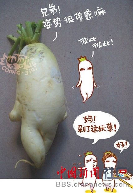 成精的蘿卜君！《大根逃亡記》爆紅