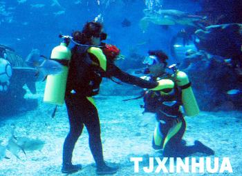 天津濱海新區集體婚禮