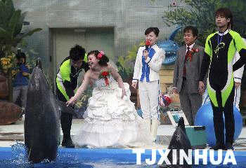 天津濱海新區集體婚禮