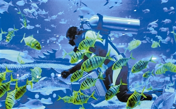 極地海洋館想方設法為135種珍稀動物消暑納涼