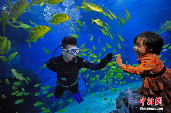 天津游客夜宿海洋館 體驗(yàn)與魚(yú)共眠（全文）