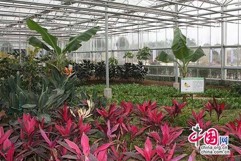 最好的祭奠——建設一個美好的新汶川(組圖)