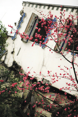 探訪北川 新貌新顏