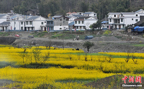 北川新縣城已入住3萬余人(圖)