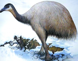 地球正在經歷第6次物種大滅絕？