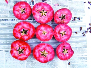 地球正在經(jīng)歷第6次物種大滅絕？