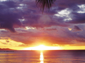 實拍斐濟:天堂不過如此(組圖)