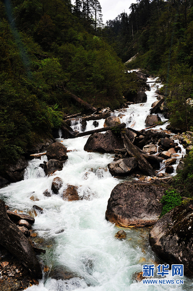徒步墨脫與冰雪高原的親密接觸
