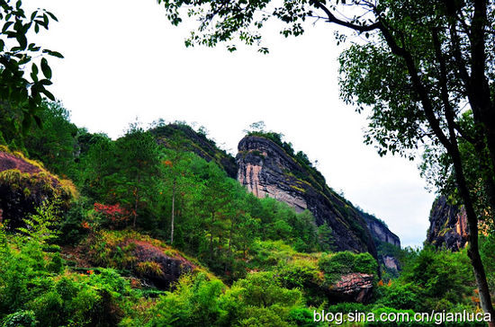 武夷山:丹霞危崖 溪水明凈