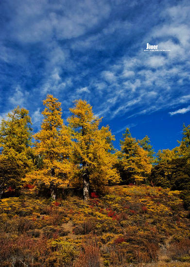 尋夢稻城亞丁 人間仙境珍珠海