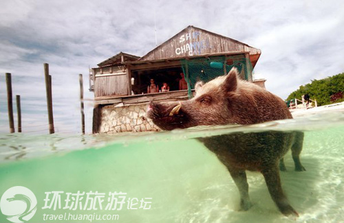 世界上最奇特的私人小島