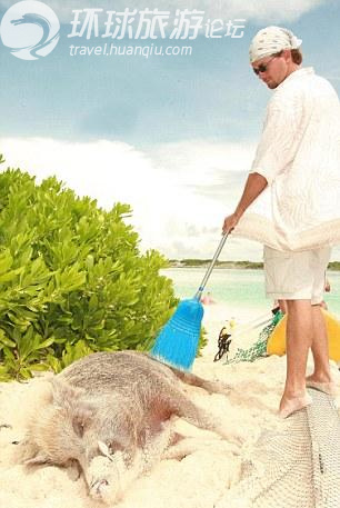 世界上最奇特的私人小島