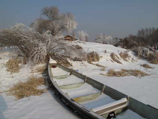 哈爾濱玲瓏剔透的冰雪大世界(組圖)