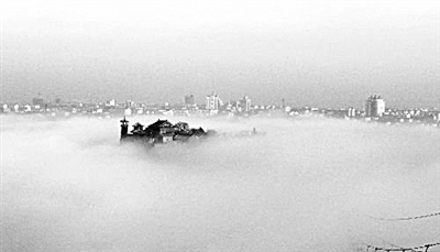 山東萊州現海滋奇觀 小島猶如懸浮于海面(圖)