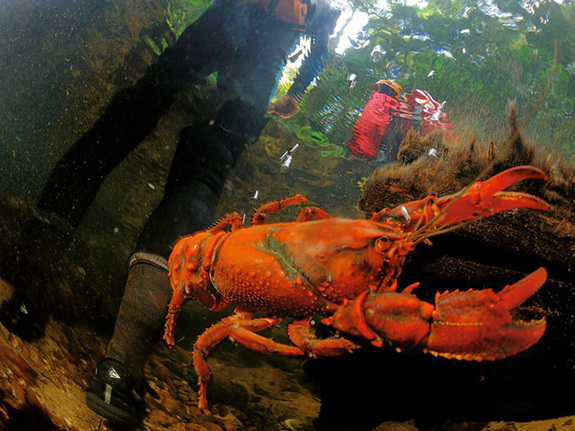 國(guó)家地理一周精選圖片