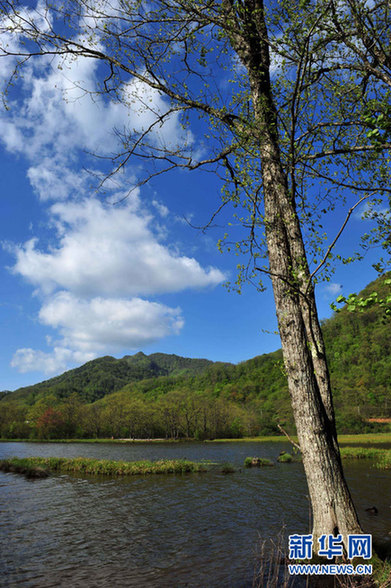 神農(nóng)架高山濕地大九湖掠影