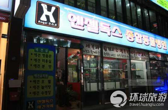 韓國最潮的狗狗咖啡館