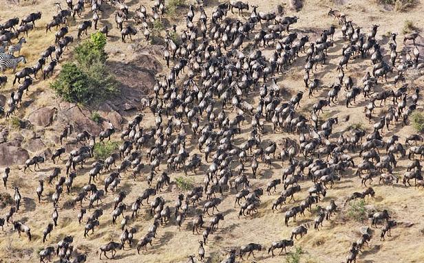 全球最壯觀的熱氣球之旅