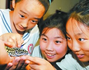 暑期修學游 玩轉京城博物館(圖)