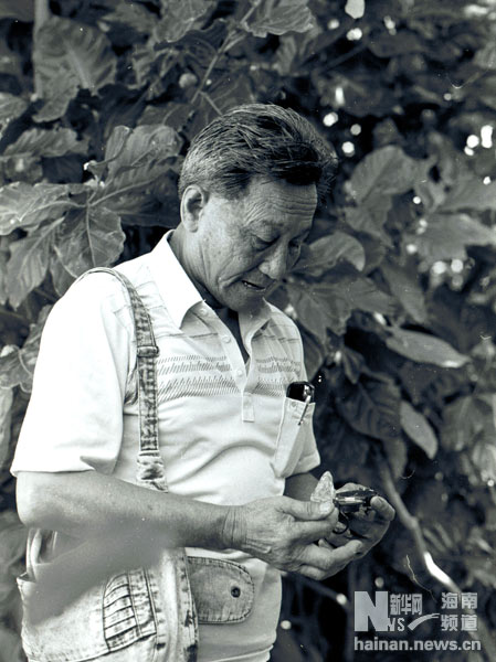 珍貴！1991年西沙科考海量歷史照