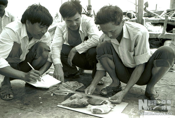 珍貴！1991年西沙科考海量歷史照