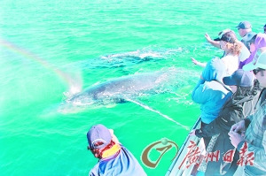 十一出境海島游 陪你去看海(圖)